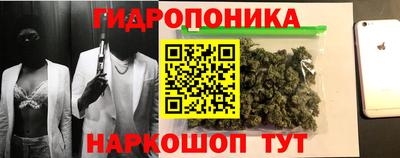 a pvp Волжский